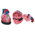 Medical Model Jumbo Heart